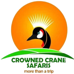 CrownedCRane